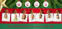 MECS- Newsletter zum Jahreswechsel